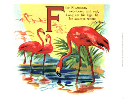 Flamingo Print Flamingo Print