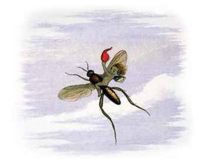 Flying Away Print Flying Away Print