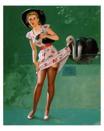 Zoo Print Zoo Print