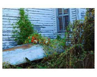 Boat and Brambles Print Boat and Brambles Print