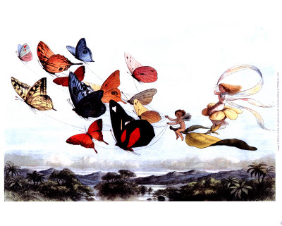 Butterfly Chariot Print Butterfly Chariot Print