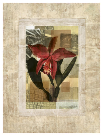 Exotic Book Plate II Print Exotic Book Plate II Print