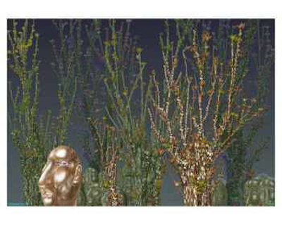 Garden Print Garden Print