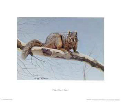Are You Nuts? Print Are You Nuts? Print