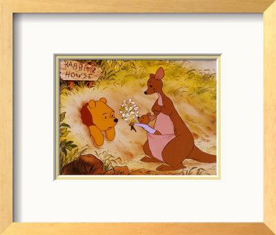 Roo Framed Print Roo Framed Print