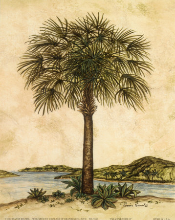 Palm Paradise II Print Palm Paradise II Print