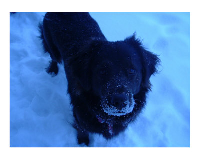 Frozen Photographic Print Frozen Photographic Print