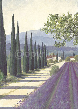 Allee du Lavande Print Allee du Lavande Print