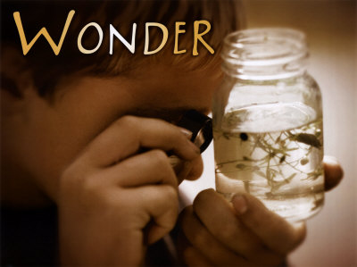 Wonder Print Wonder Print