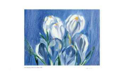 White Crocus Rain Limited Edition White Crocus Rain Limited Edition