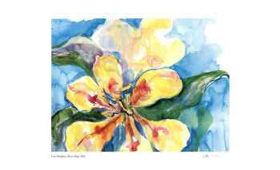 Blown Tulip Limited Edition Blown Tulip Limited Edition