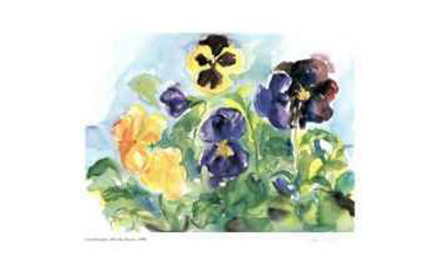 Blue Sky Pansies Limited Edition Blue Sky Pansies Limited Edition