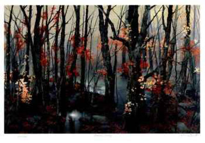 Woodland Fantasy Limited Edition Woodland Fantasy Limited Edition