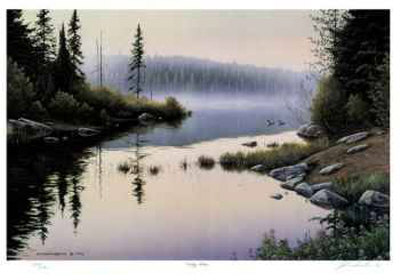 Misty Shore Limited Edition Misty Shore Limited Edition