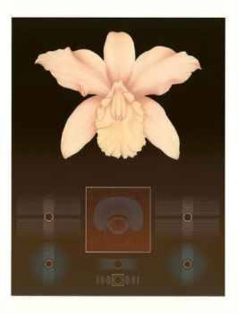 Orchid Matrix I Limited Edition Orchid Matrix I Limited Edition