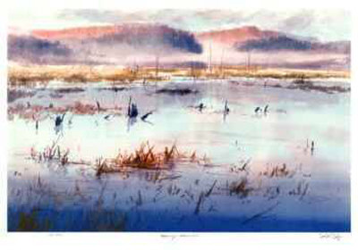Morning - Holmes Pond Limited Edition Morning - Holmes Pond Limited Edition