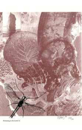 Pertaining to the Earth #3 Limited Edition Pertaining to the Earth #3 Limited Edition