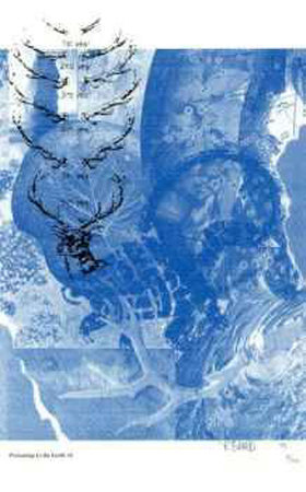 Pertaining to the Earth #8 Limited Edition Pertaining to the Earth #8 Limited Edition