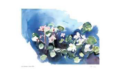 Violets Limited Edition Violets Limited Edition