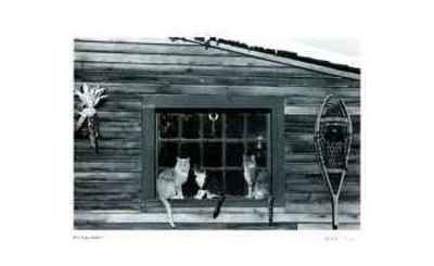 Untitled - Cats in Window Limited Edition Untitled - Cats in Window Limited Edition