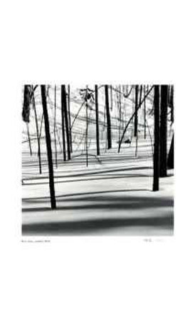 Untitled (trees in snow) Limited Edition Untitled (trees in snow) Limited Edition