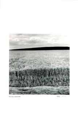 Untitled (wheat field) Limited Edition Untitled (wheat field) Limited Edition