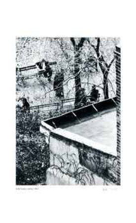 Untitled Limited Edition Untitled Limited Edition