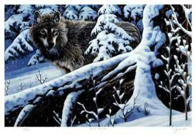 Silent Snowfall Limited Edition Silent Snowfall Limited Edition