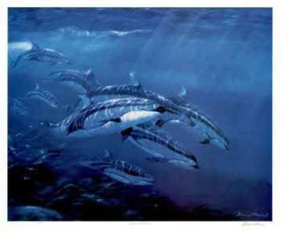 Pacific Whitesides Limited Edition Pacific Whitesides Limited Edition