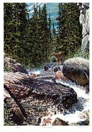 Montana Spring Limited Edition Montana Spring Limited Edition