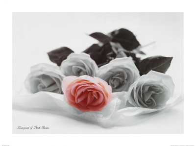 Bouquet of Pink Roses Print Bouquet of Pink Roses Print