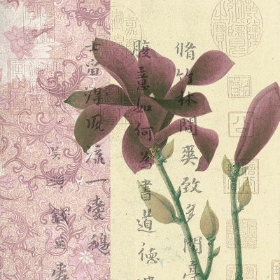 Magnolia Print Magnolia Print