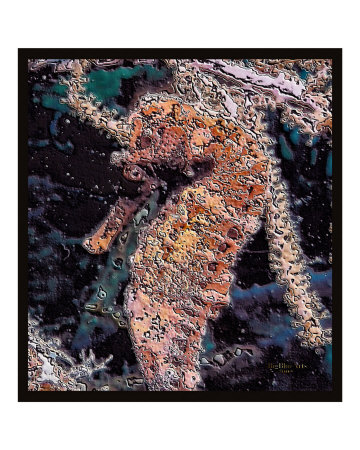 Seahorse Photographic Print Seahorse Photographic Print