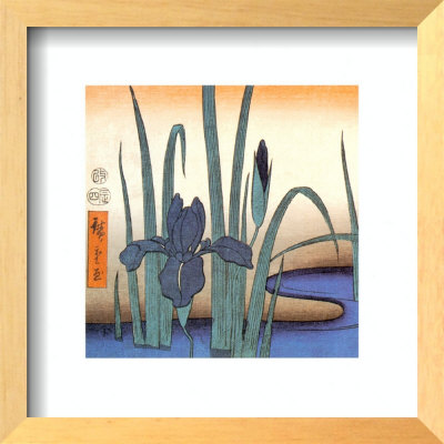 Dream Maiden - 2 Framed Print Dream Maiden - 2 Framed Print