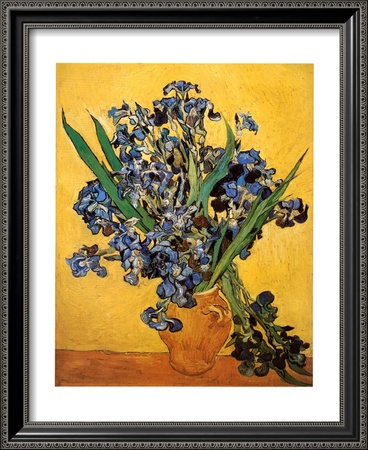 Les Iris Framed Print Les Iris Framed Print