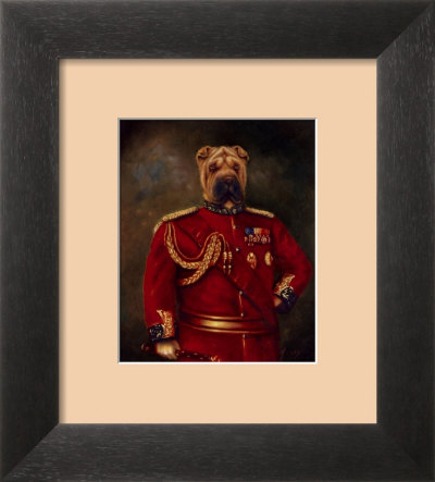 Major-General Woof Framed Print Major-General Woof Framed Print