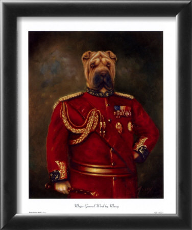 Major-General Woof Framed Print Major-General Woof Framed Print