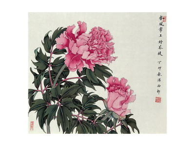 Peonies in Spring Giclee Print Peonies in Spring Giclee Print