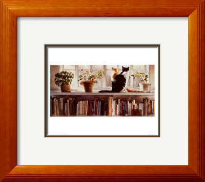 Bookends Framed Print Bookends Framed Print