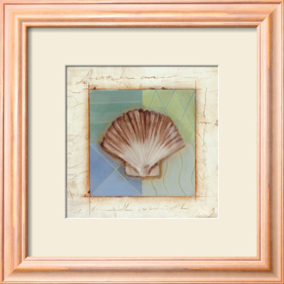 Shell Accents IV Framed Print Shell Accents IV Framed Print
