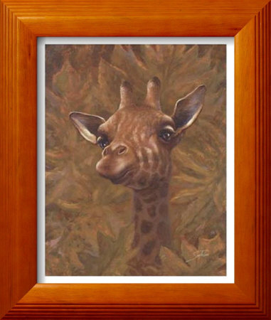 Safari Giraffe Framed Print Safari Giraffe Framed Print