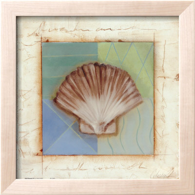 Shell Accents IV Framed Print Shell Accents IV Framed Print