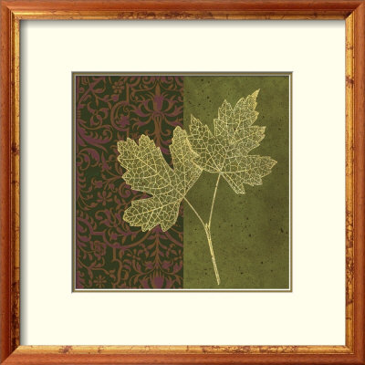 Maple Framed Print Maple Framed Print