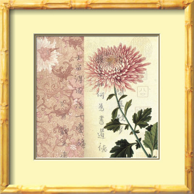 Pink Mum Framed Print Pink Mum Framed Print