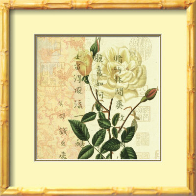 Rose Framed Print Rose Framed Print