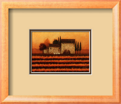 Fall Vineyard Framed Print Fall Vineyard Framed Print