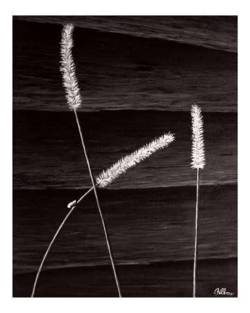 Art Giclee Print Art Giclee Print