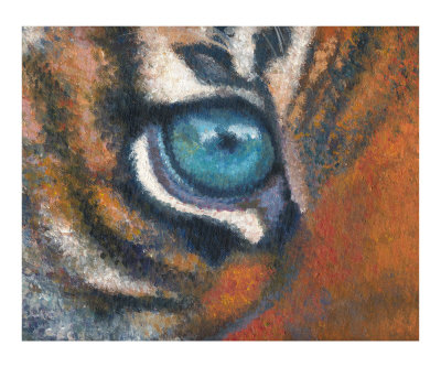 Eye of the Tiger Other Eye of the Tiger Other