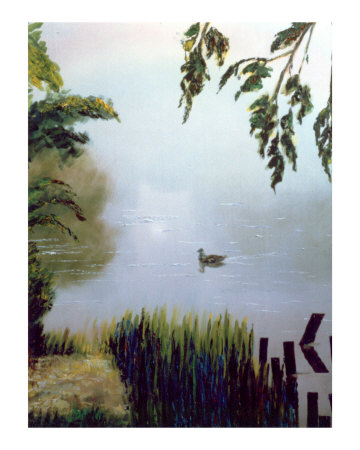 Duck Giclee Print Duck Giclee Print