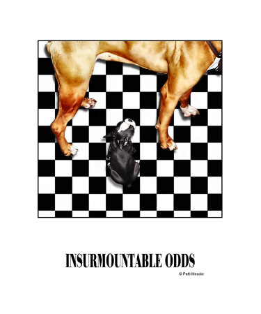 Insurmountable Odds Photographic Print Insurmountable Odds Photographic Print